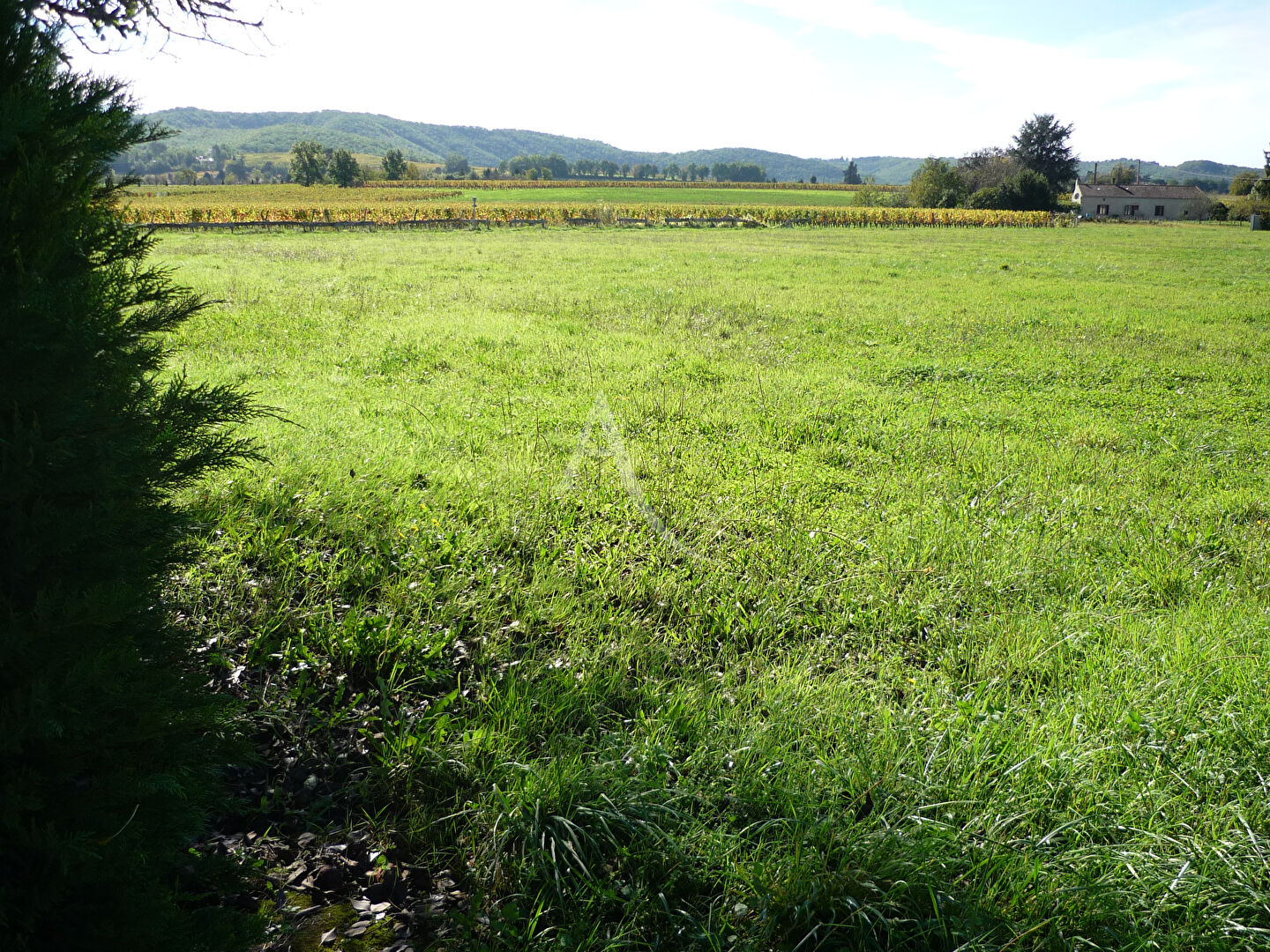 Agence immobilière de L'ADRESSE CAHORS - L'Adresse Prayssac Immobilier