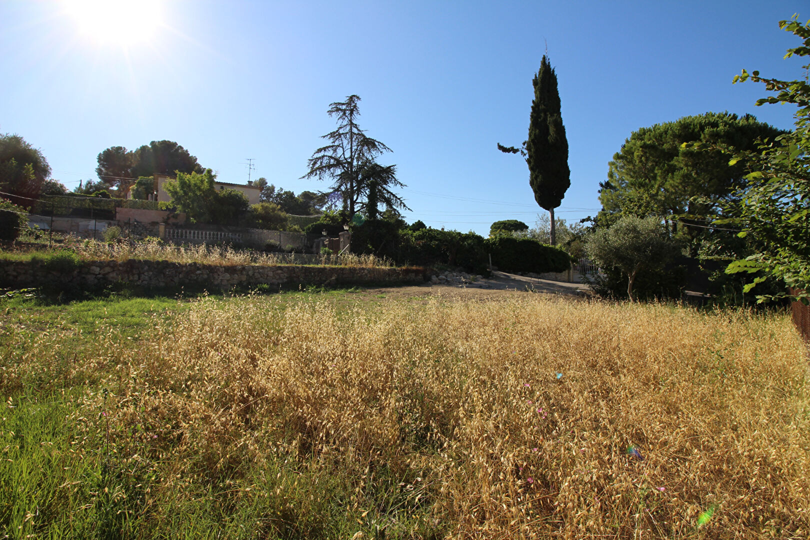 Photo MOUGINS - TERRAIN image 2/6