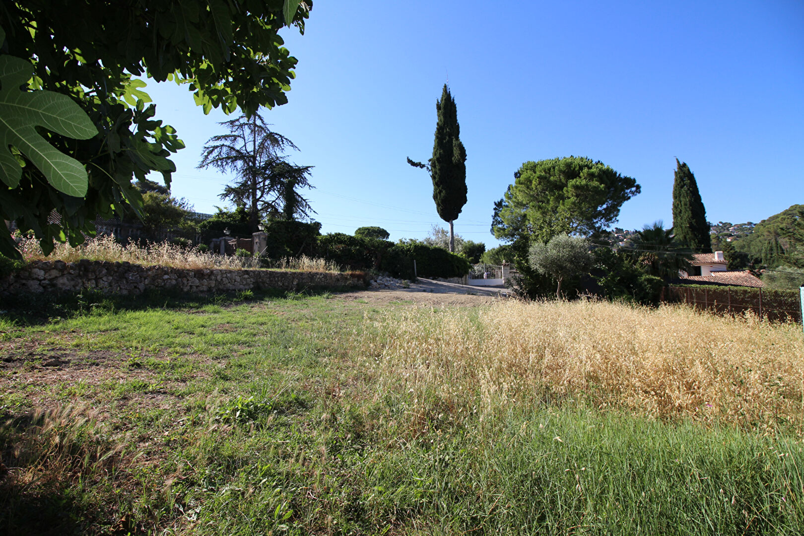 Photo MOUGINS - TERRAIN image 4/6