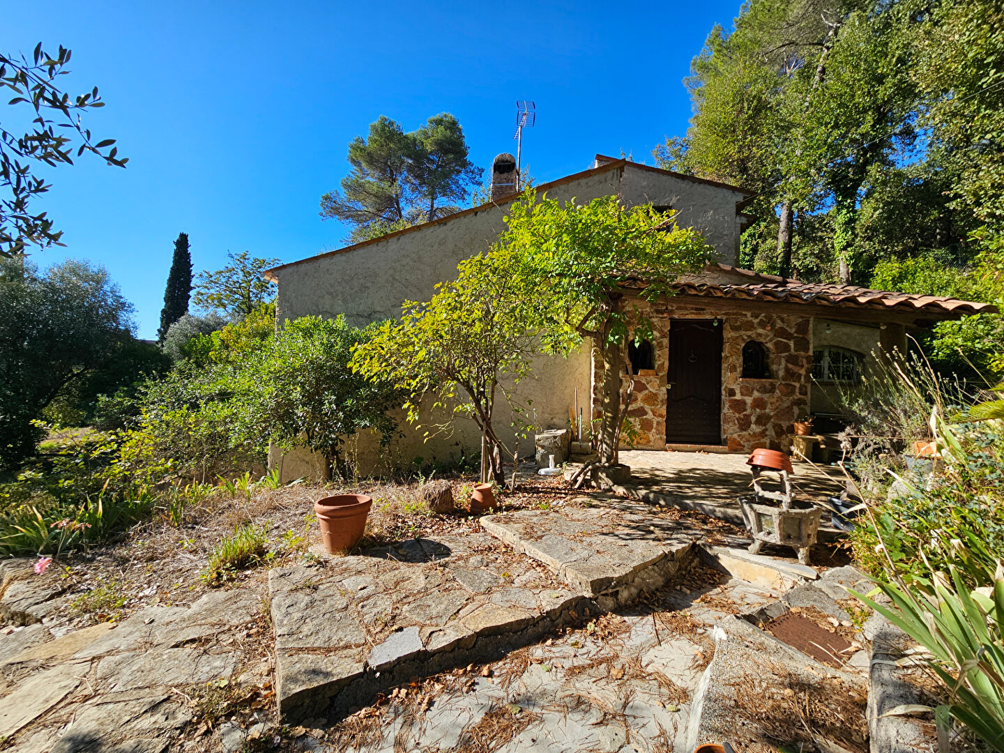 Photo Au calme absolu ! image 4/6