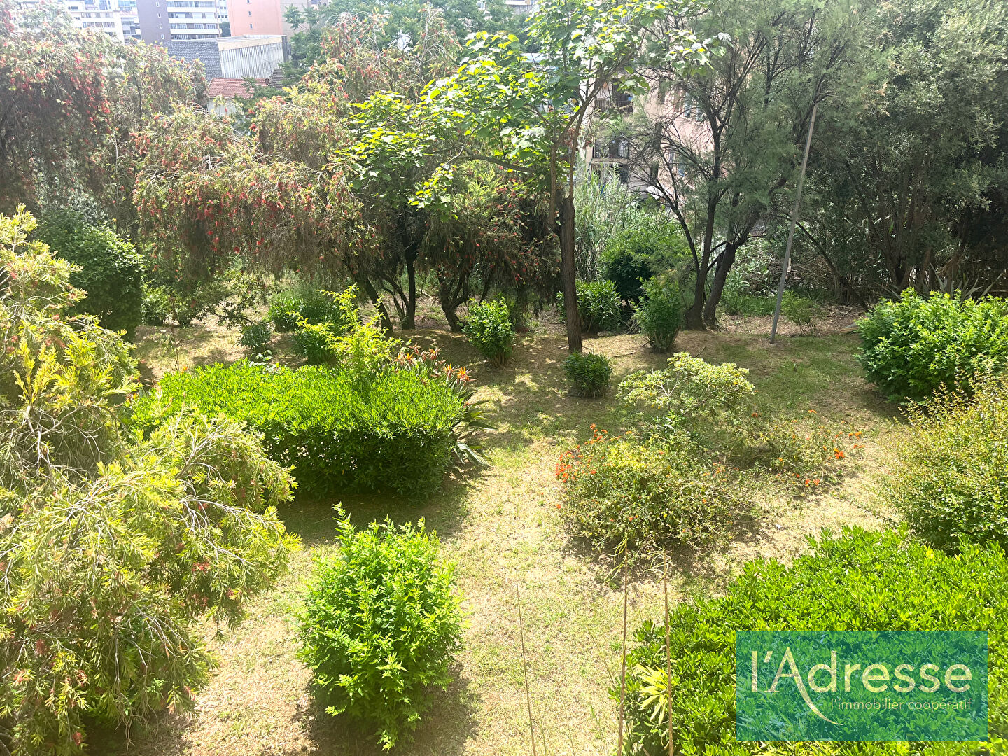 Photo Studio Ajaccio 32 m² -  Proximité centre ville  -  Parking - Vue dégagée image 3/6