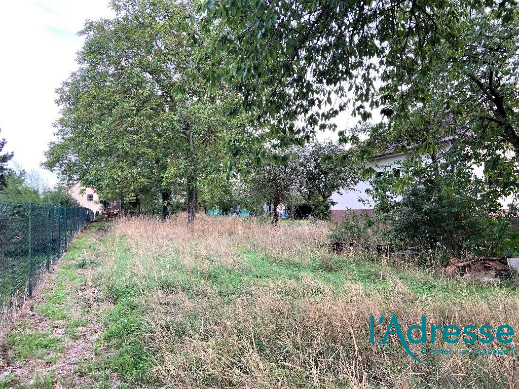 Photo 9 ARES   LIBRE DE CONSTRUCTEUR image 2/5