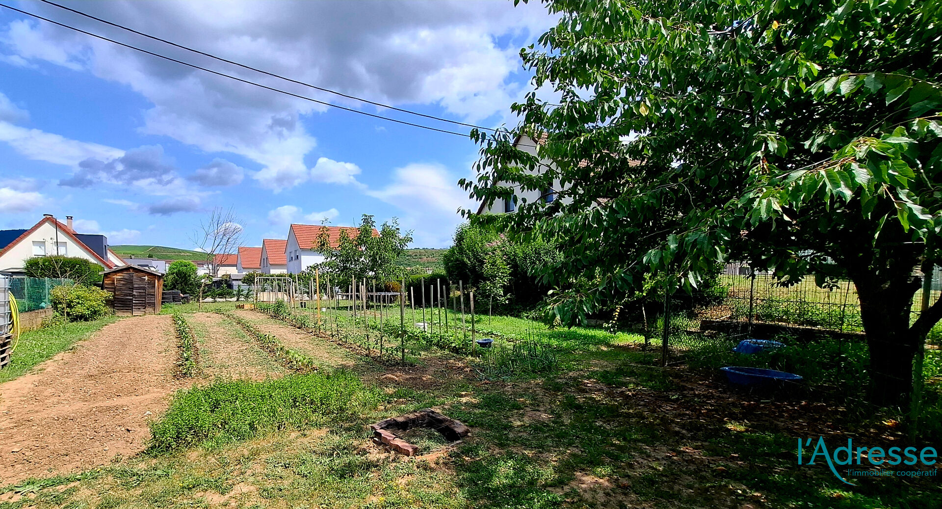 Photo Terrain Turckheim 489 m2 image 1/4