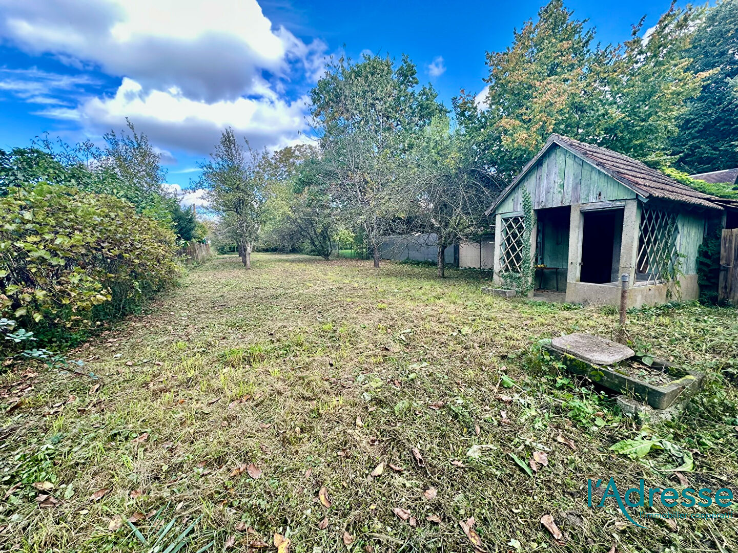 Photo Terrain de loisirs Colmar image 1/6