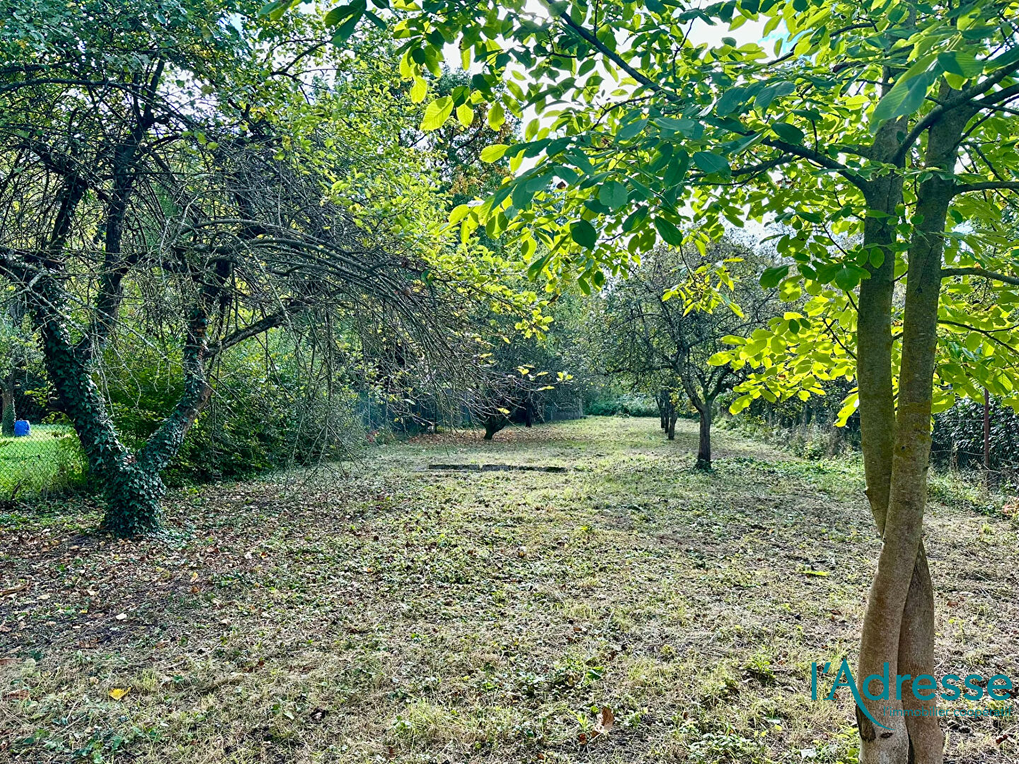 Photo Terrain de loisirs Colmar image 2/6