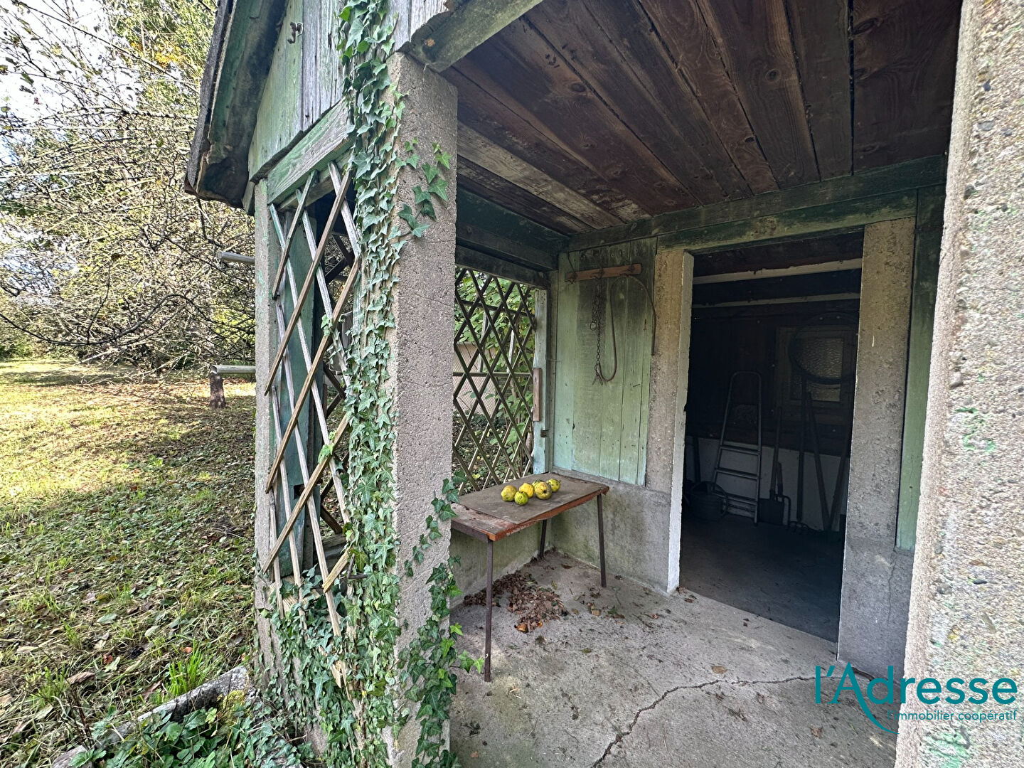 Photo Terrain de loisirs Colmar image 4/6