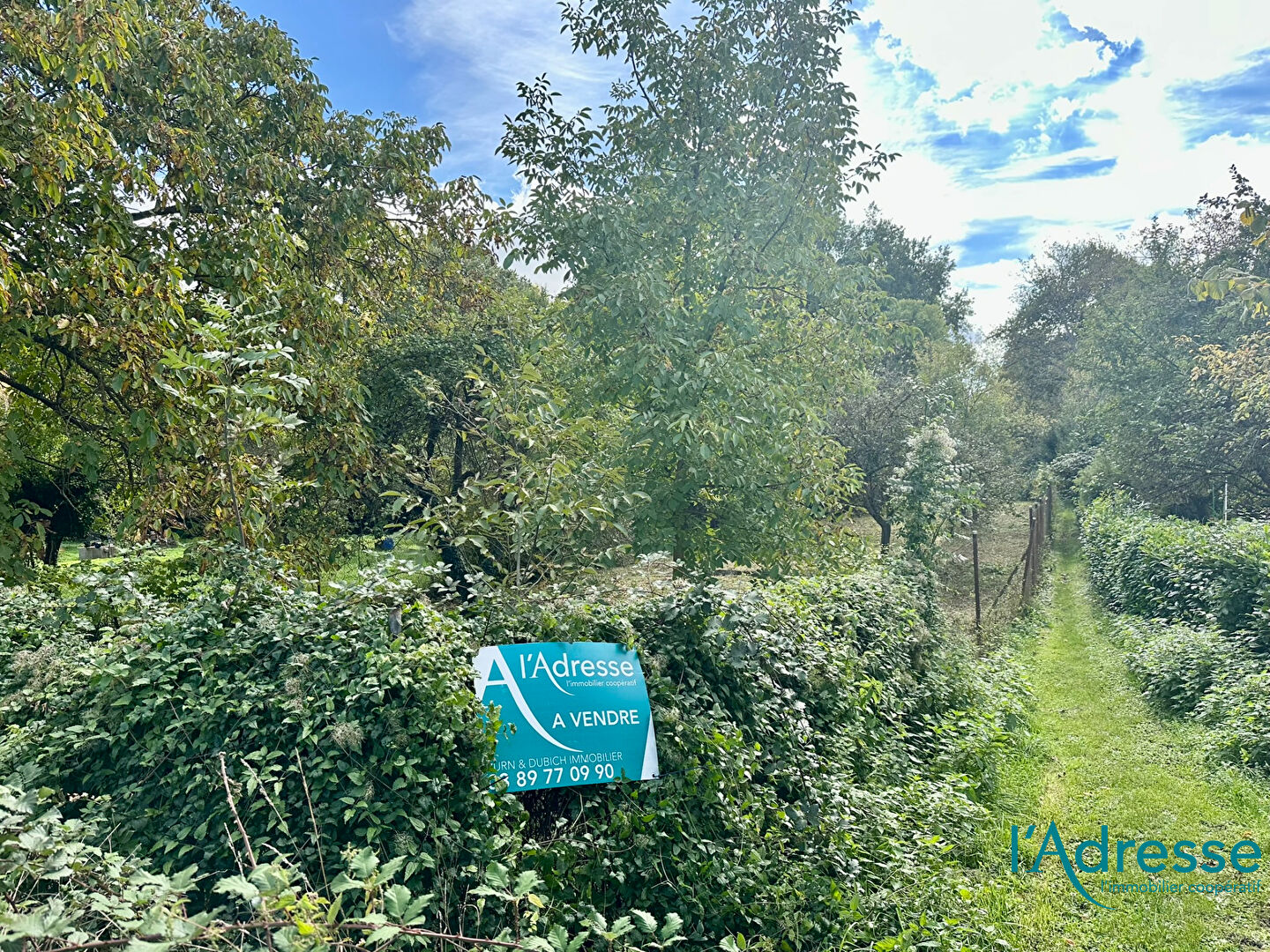 Photo Terrain de loisirs Colmar image 5/6