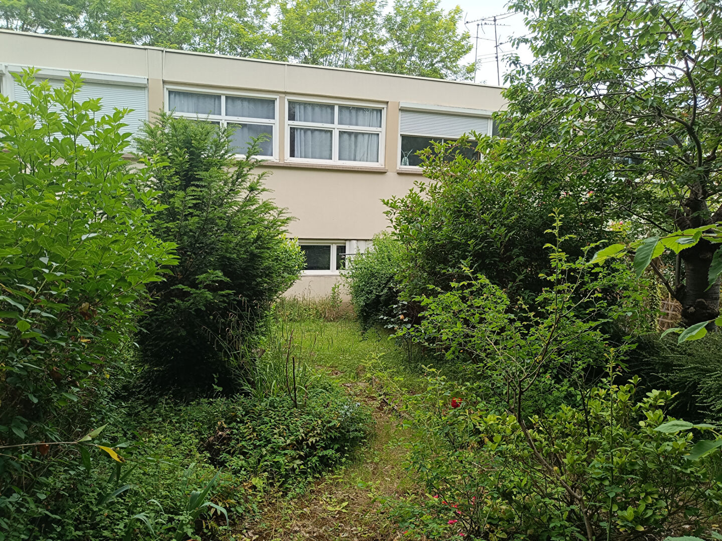 Photo Maison Marly Le Roi 5 pièce(s) 94 m2 image 1/5