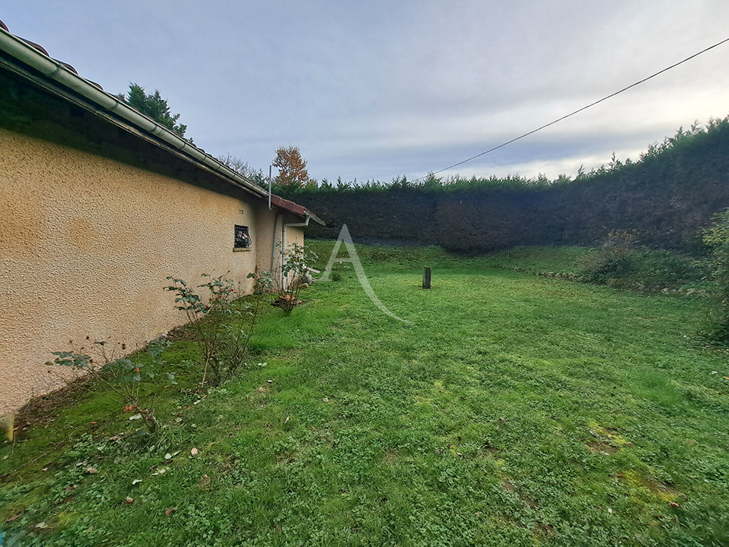 Photo Arblade Le Haut image 6/6