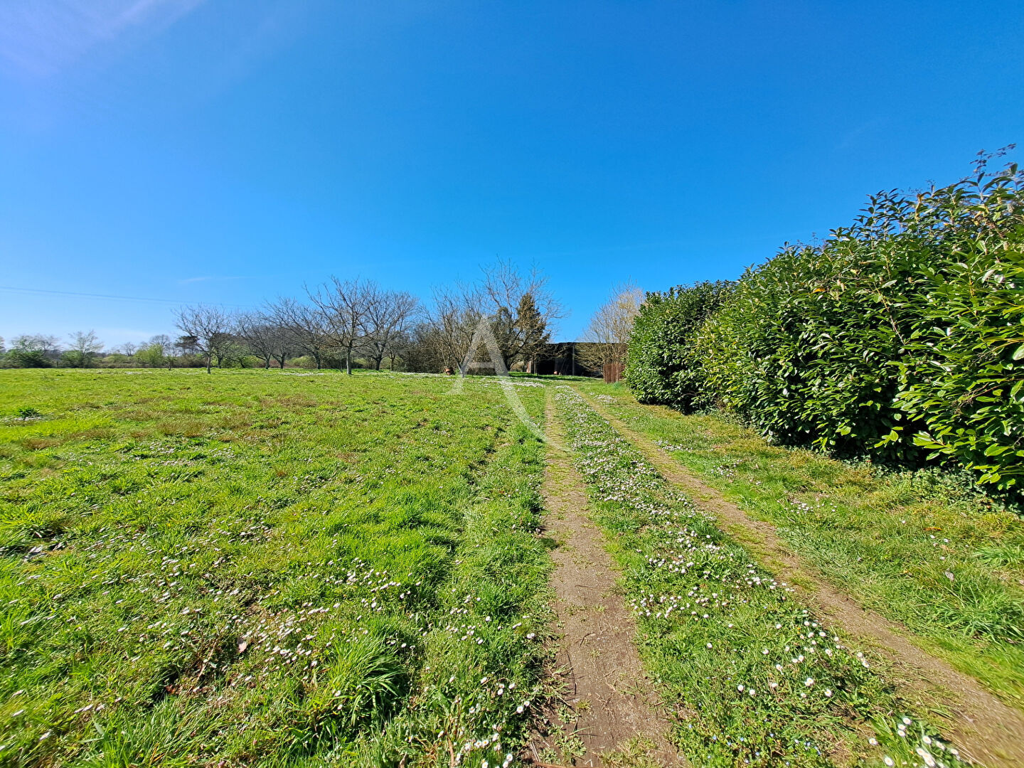 Photo Villeneuve de Marsan image 2/6