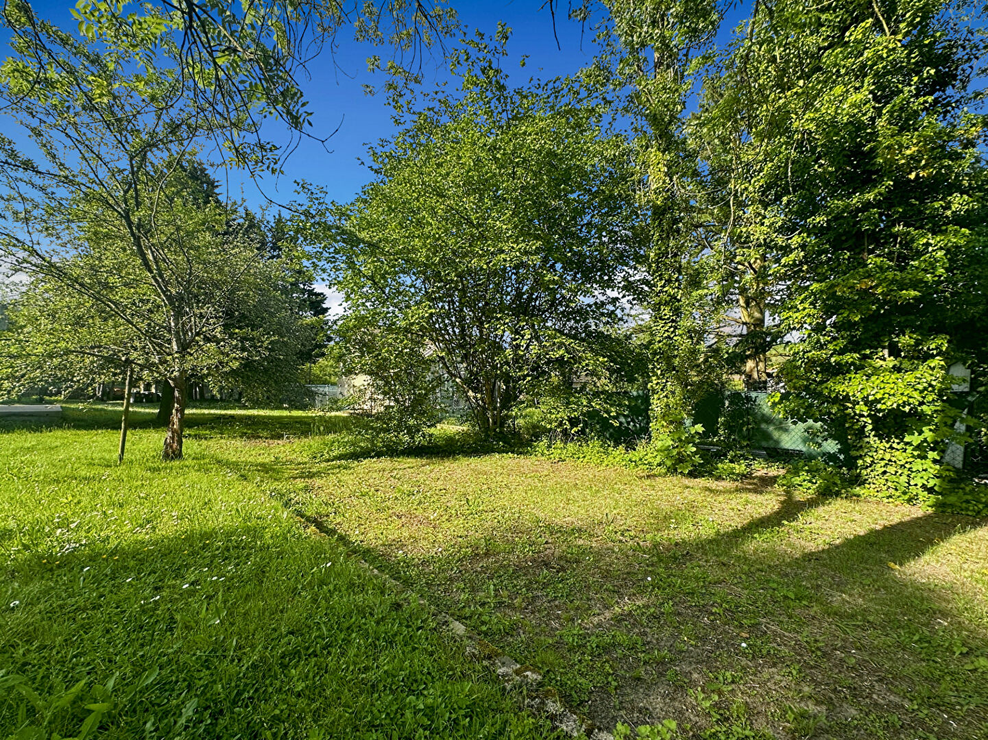 Photo Terrain Lardy 685 m2 image 1/4