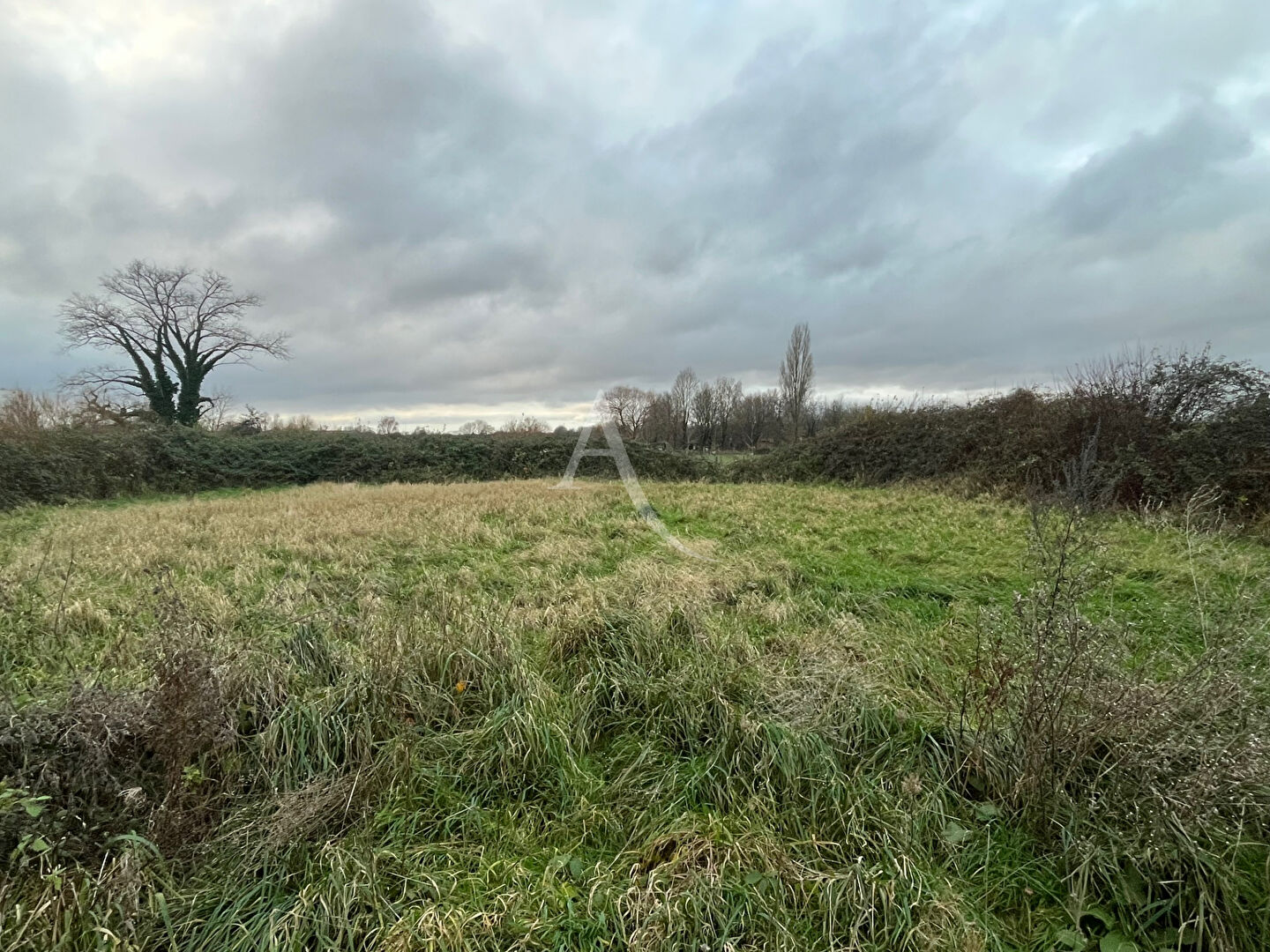 Photo ENTREPOT - 527m² - ARQUES image 4/5