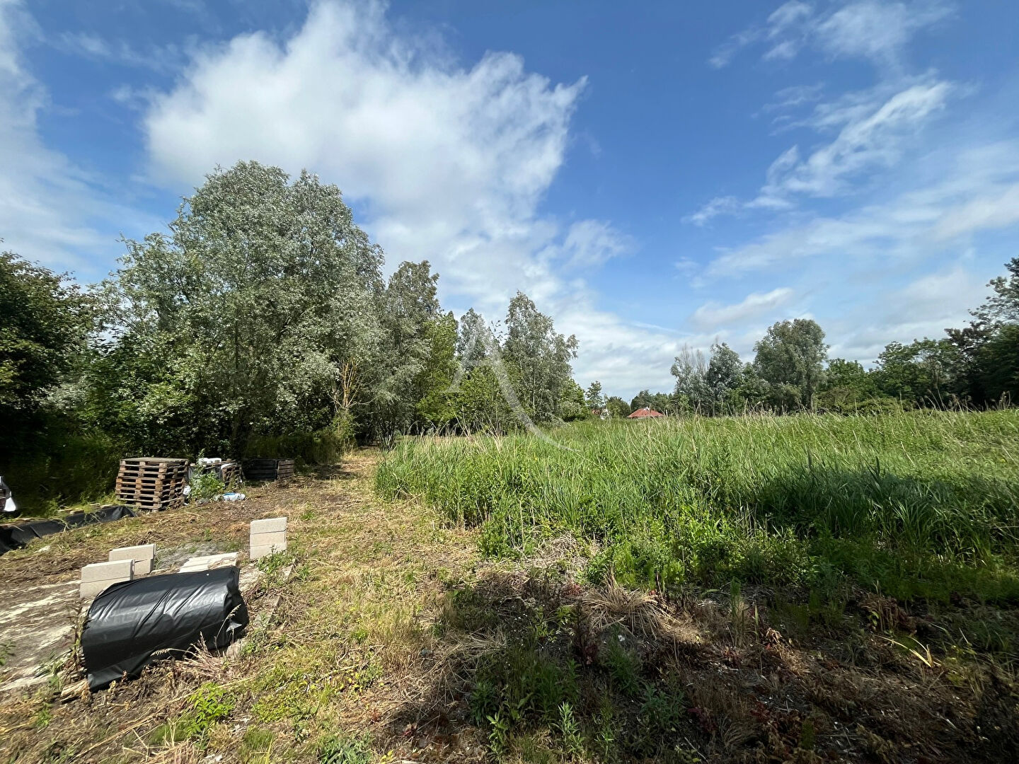 Photo Terrain de loisirs - Salperwick image 4/4