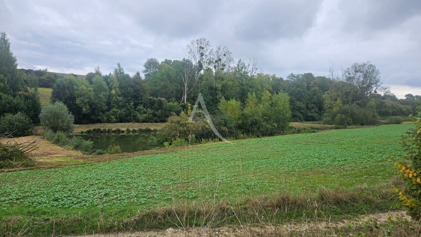 ETANG A 20 MINUTES DE SOISSONS