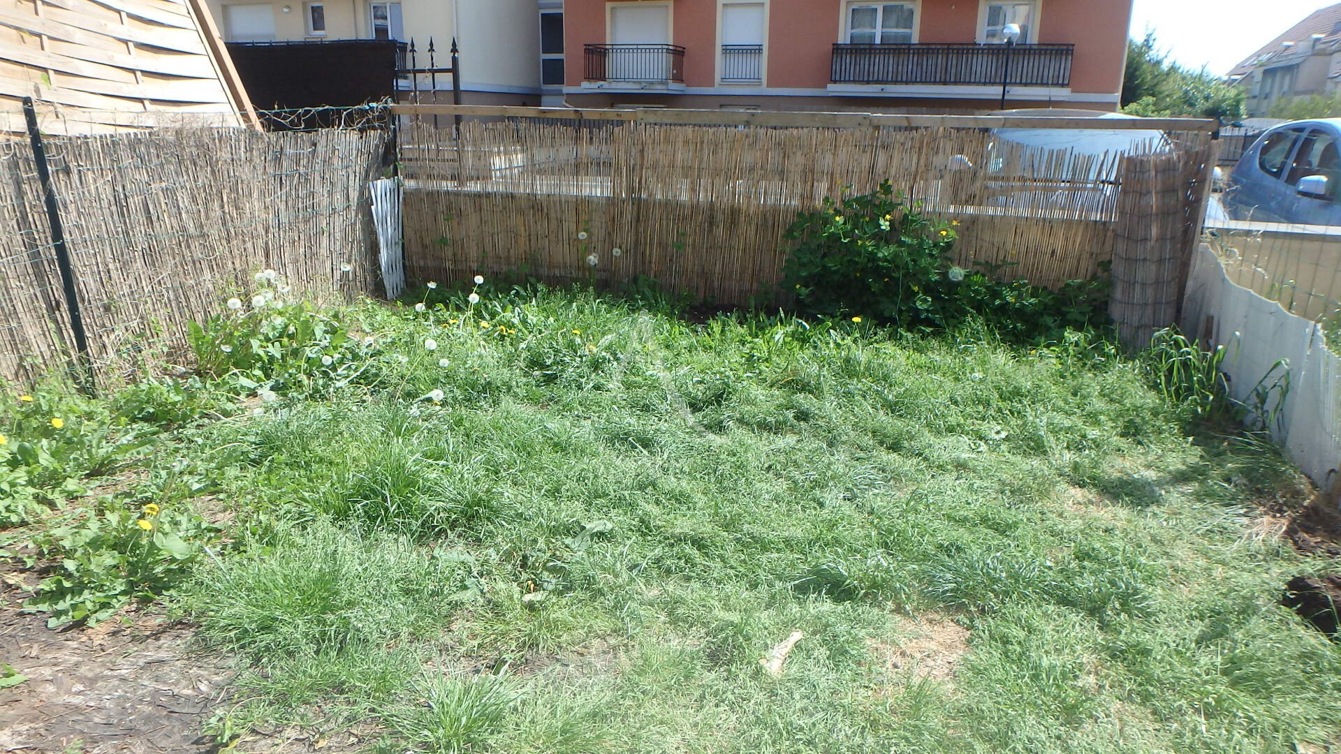 Photo Studio avec jardin de 25.67m² image 2/3