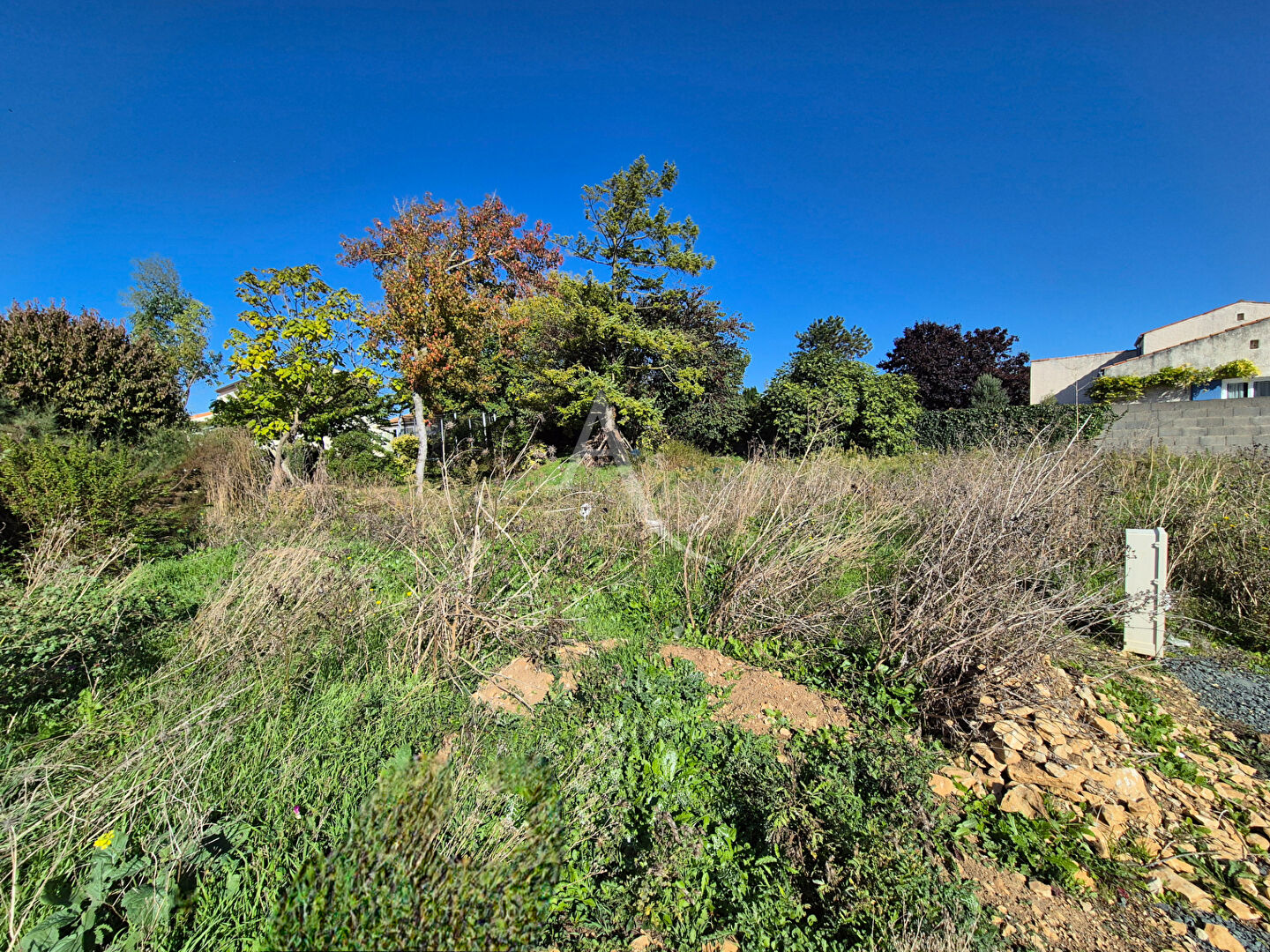Terrain à vendre - Villedoux