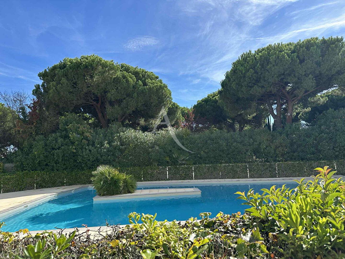 Agence immobilière de L'Adresse AIGUE MARINE IMMOBILIER - GRAND PAVOIS IMMOBILIER