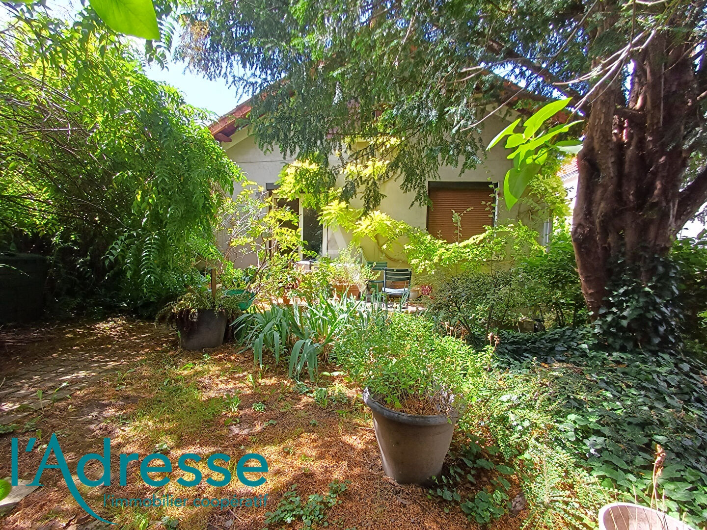 Photo 2 lots à diviser image 2/6