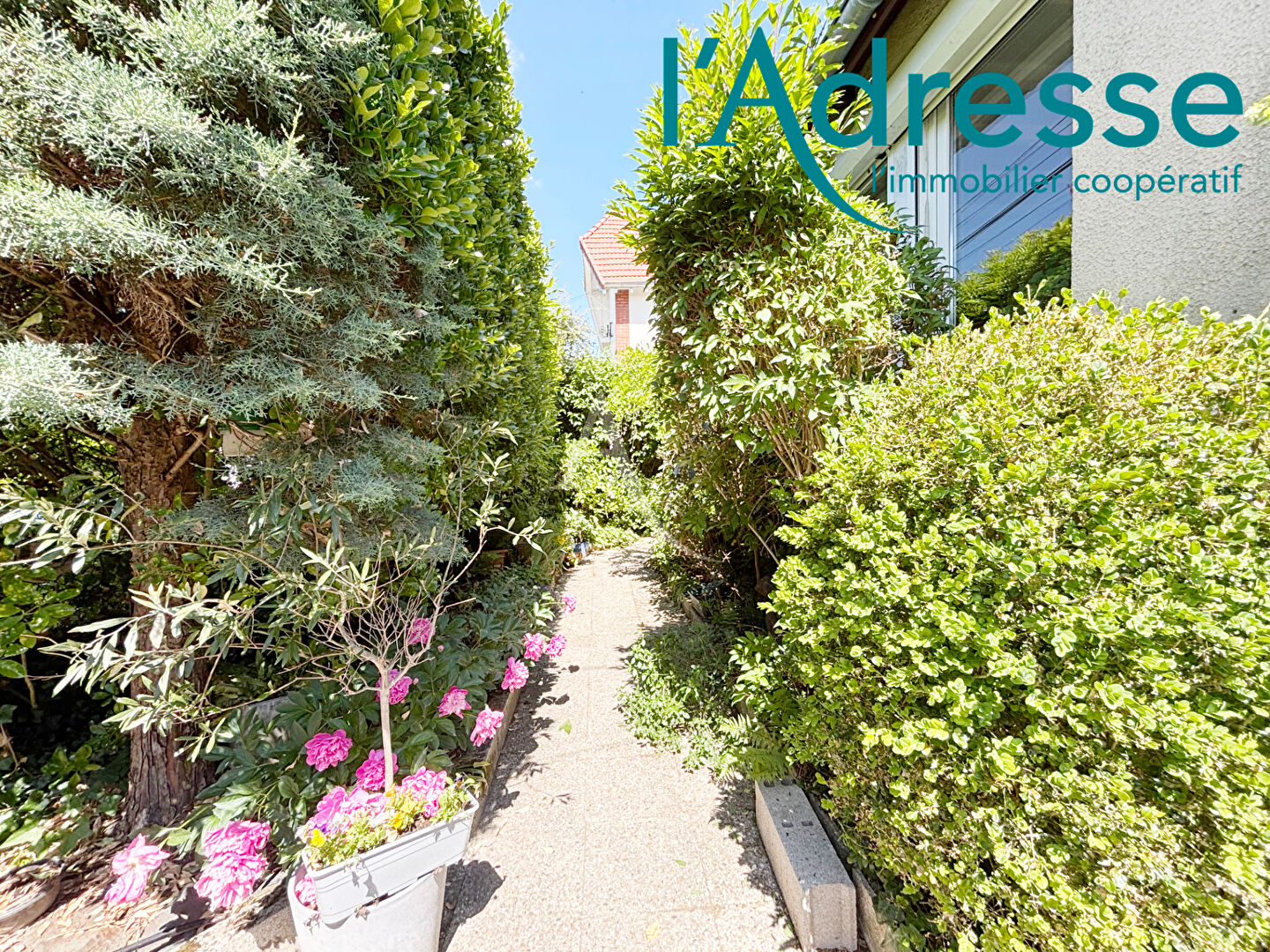 Photo 2 lots à diviser image 6/6