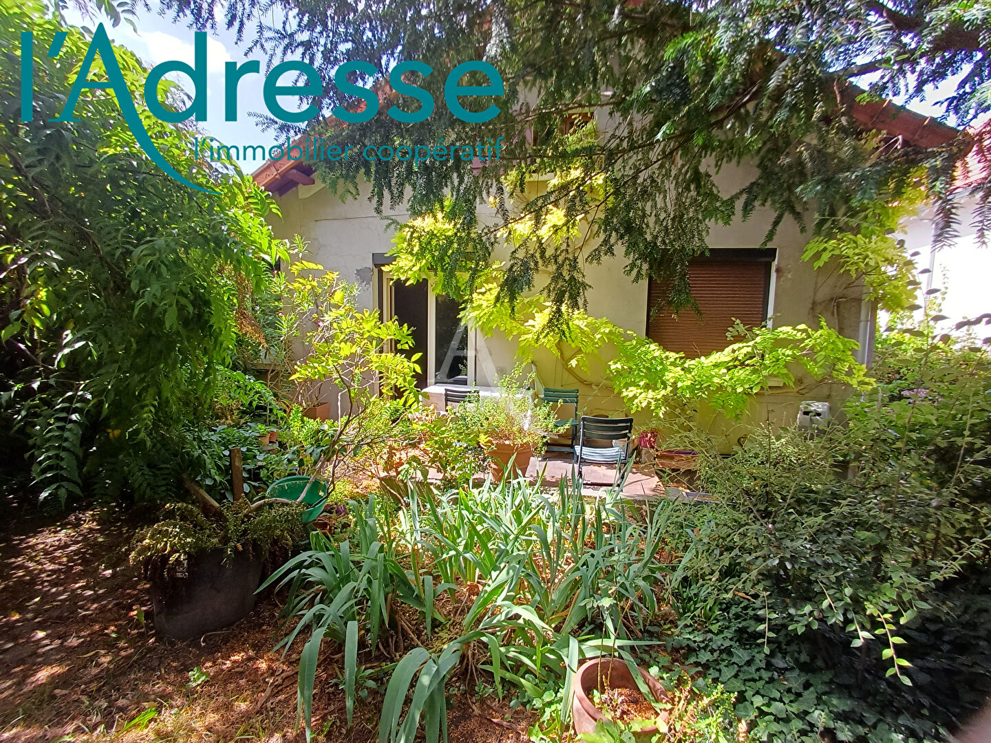 Photo fort potentiel image 1/6