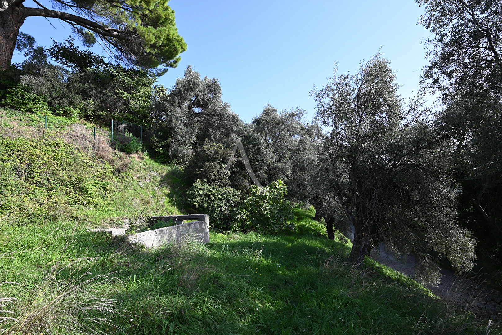 Photo Magagnosc terrain 1550 m2 image 6/6