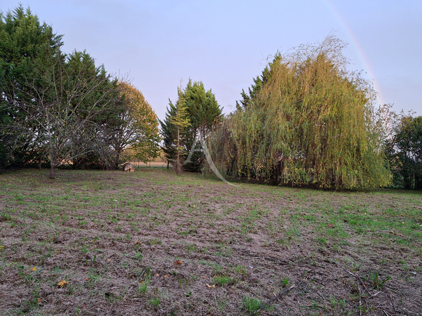 Photo Maison L Isle Jourdain 5 pièce(s) 146 m2 image 2/6