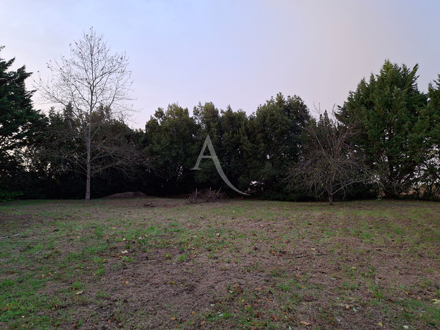 Photo Maison L Isle Jourdain 5 pièce(s) 146 m2 image 3/6