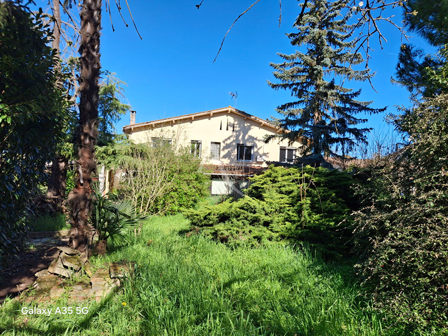 Agence immobilière de L'Adresse Agence 124 Immobilier - Agence 124 Immobilier