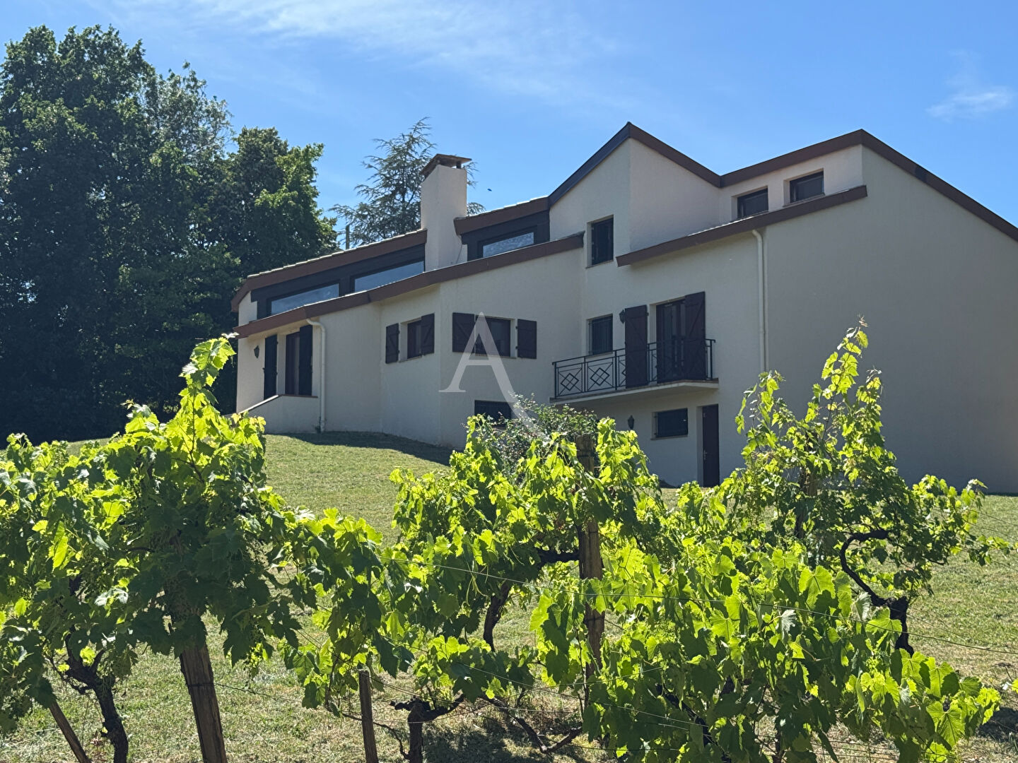 Agence immobilière de L'Adresse Agence 124 Immobilier - Agence 124 Immobilier