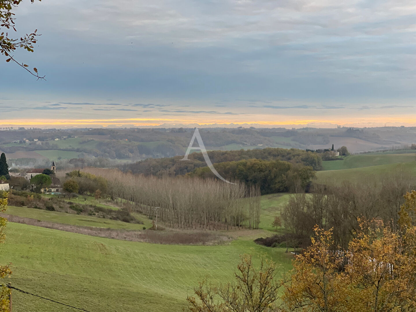 Agence immobilière de L'Adresse  MOLINARI - L'ADRESSE MOLINARI