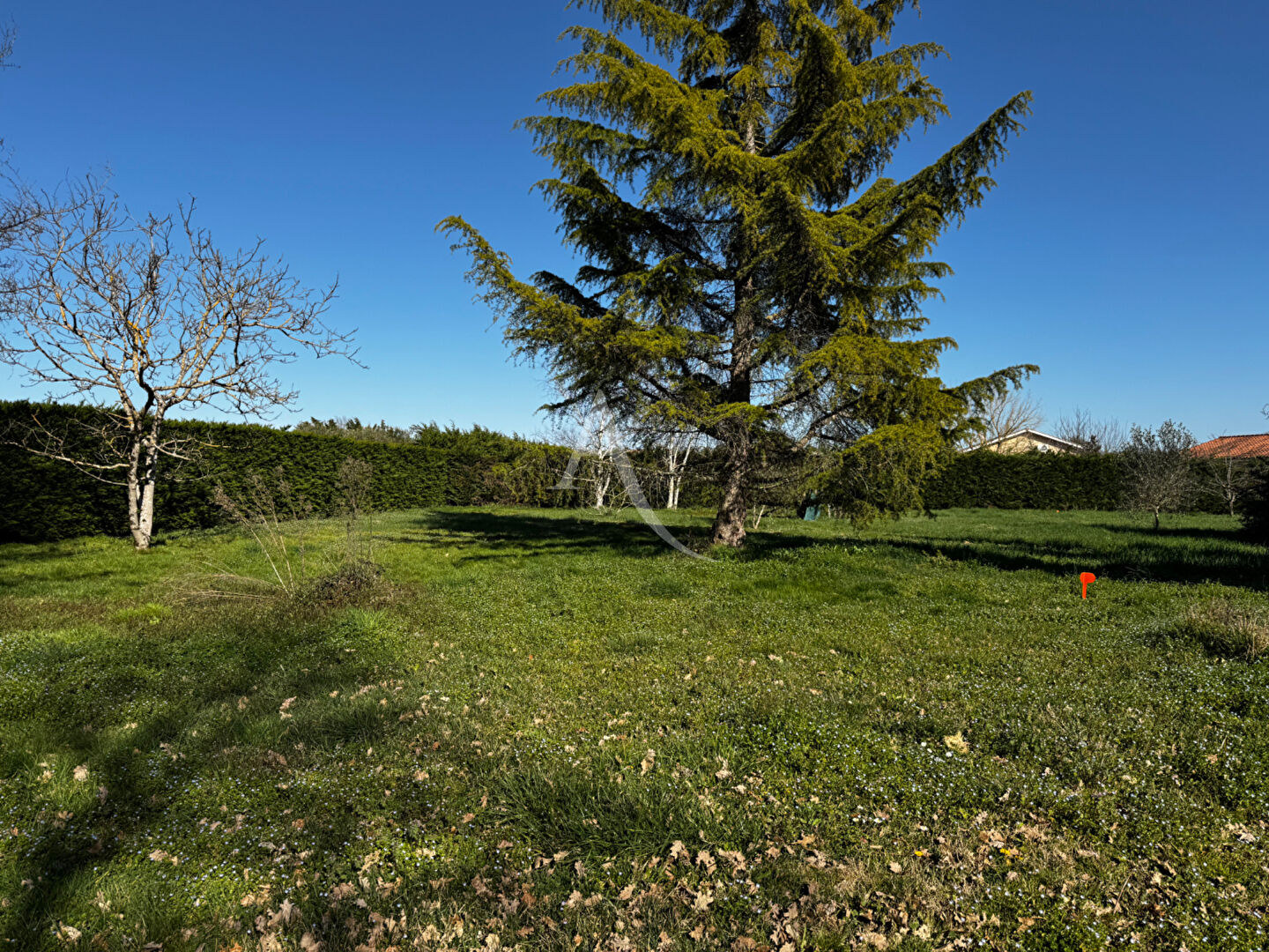 Photo Terrain Montbartier 869 m2 image 1/1