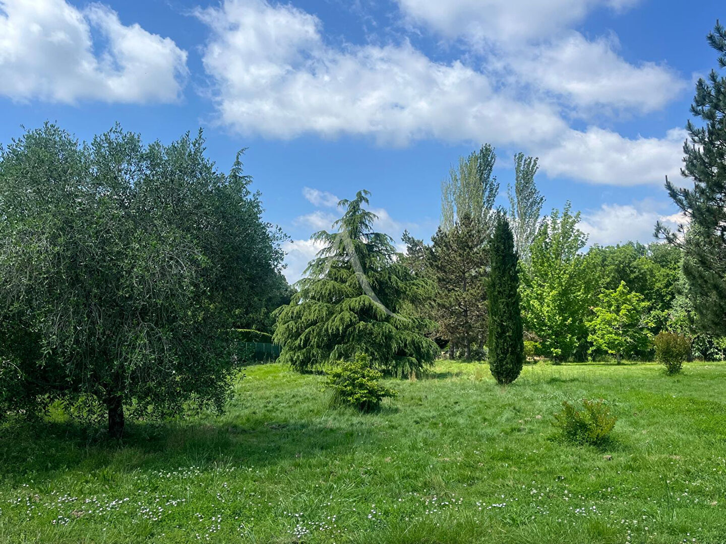 Photo MONTAUBAN  quartier du FAU - Terrain arboré à bâtir  de 1500 m² image 1/5