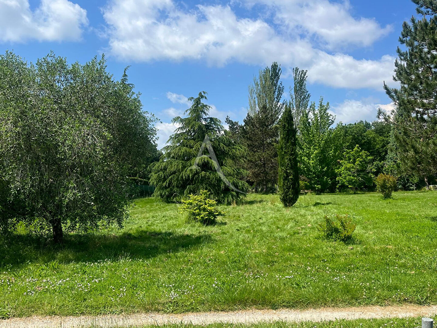 Photo MONTAUBAN  quartier du FAU - Terrain arboré à bâtir  de 1500 m² image 2/5