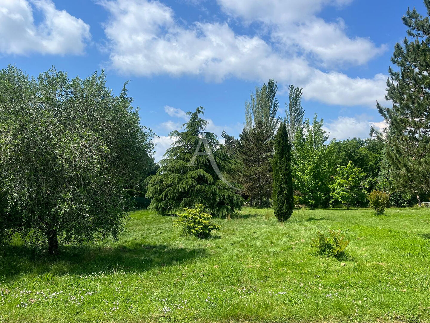 Photo MONTAUBAN  quartier du FAU - Terrain arboré à bâtir  de 1500 m² image 3/5