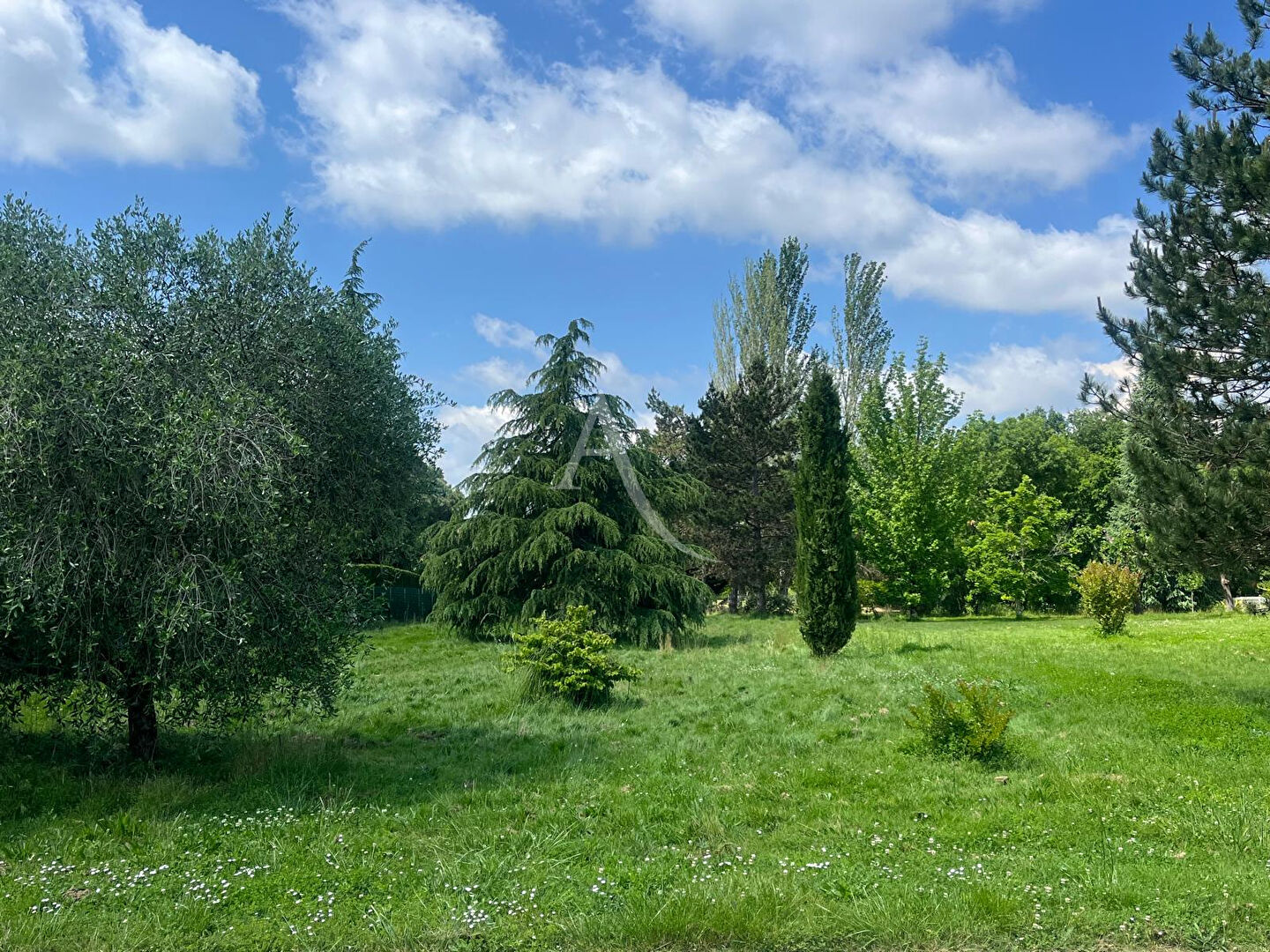 Photo MONTAUBAN  quartier du FAU - Terrain arboré à bâtir  de 1500 m² image 4/5