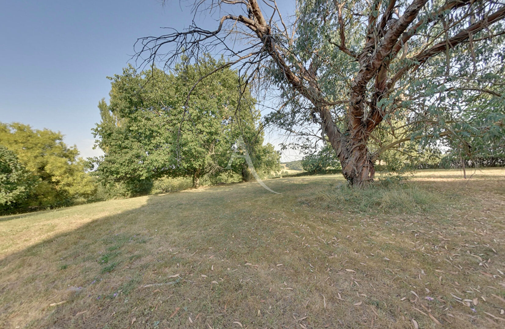 Photo Authentique corps de ferme sur un hectare de terrain à GENEBRIERES image 5/6