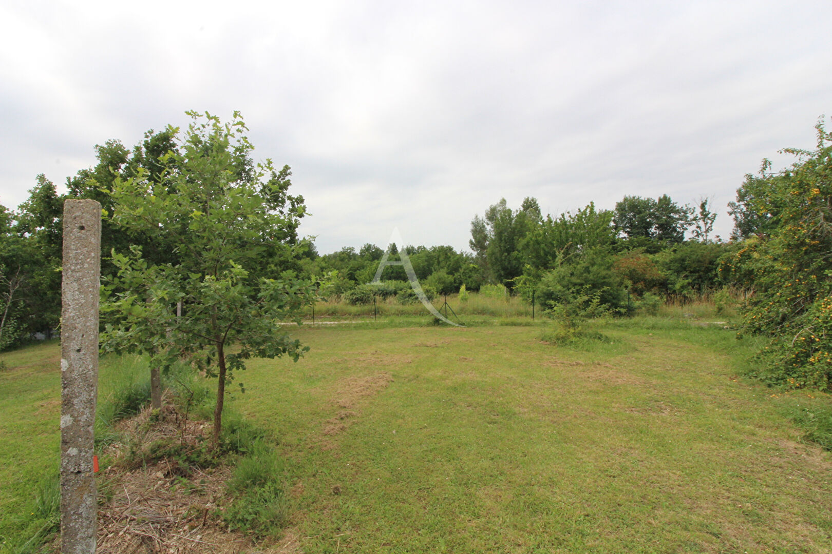 Agence immobilière de L'Adresse  MOLINARI - L'ADRESSE MOLINARI