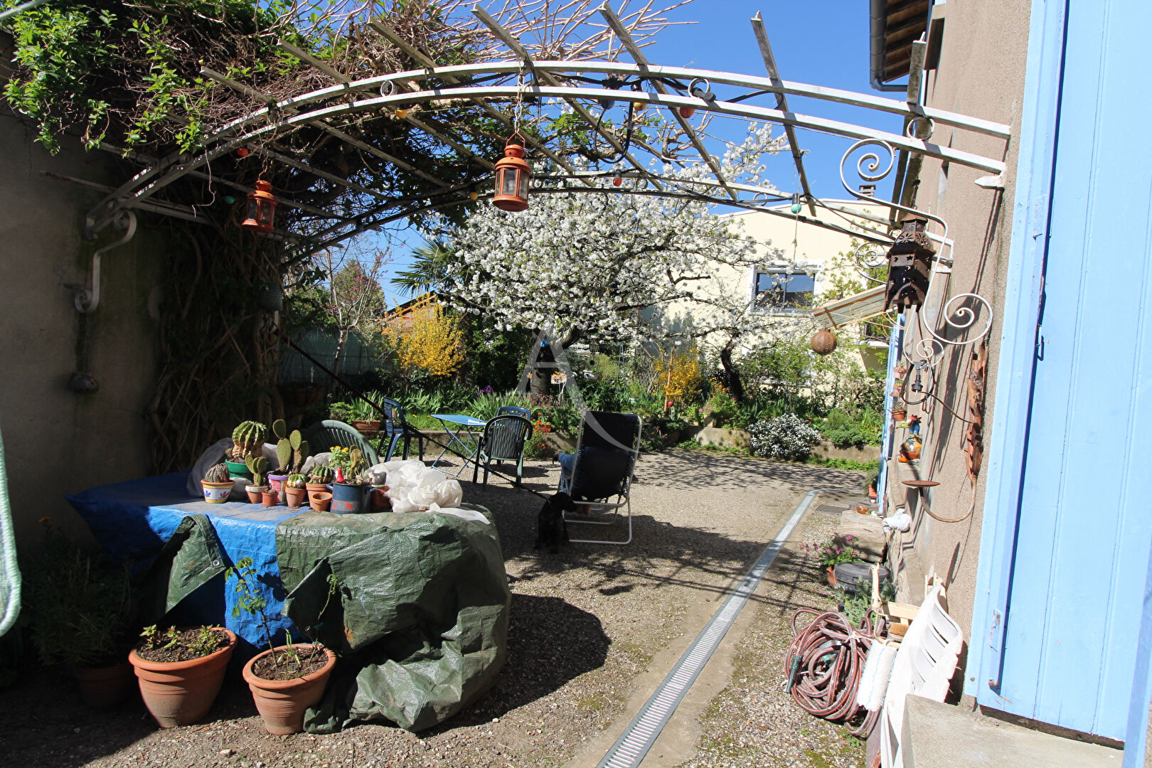 Agence immobilière de L'Adresse  MOLINARI - L'ADRESSE MOLINARI