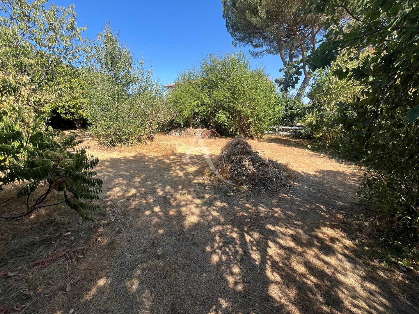 Agence immobilière de L'Adresse  MOLINARI - L'ADRESSE MOLINARI