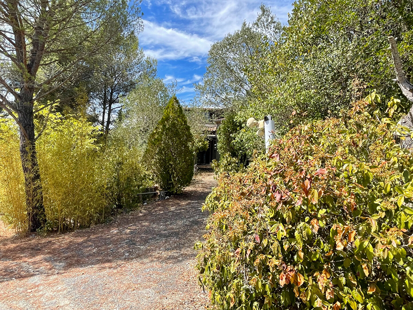 Photo Maison Limoux 8 pièce(s) 154.29 m2 image 1/5