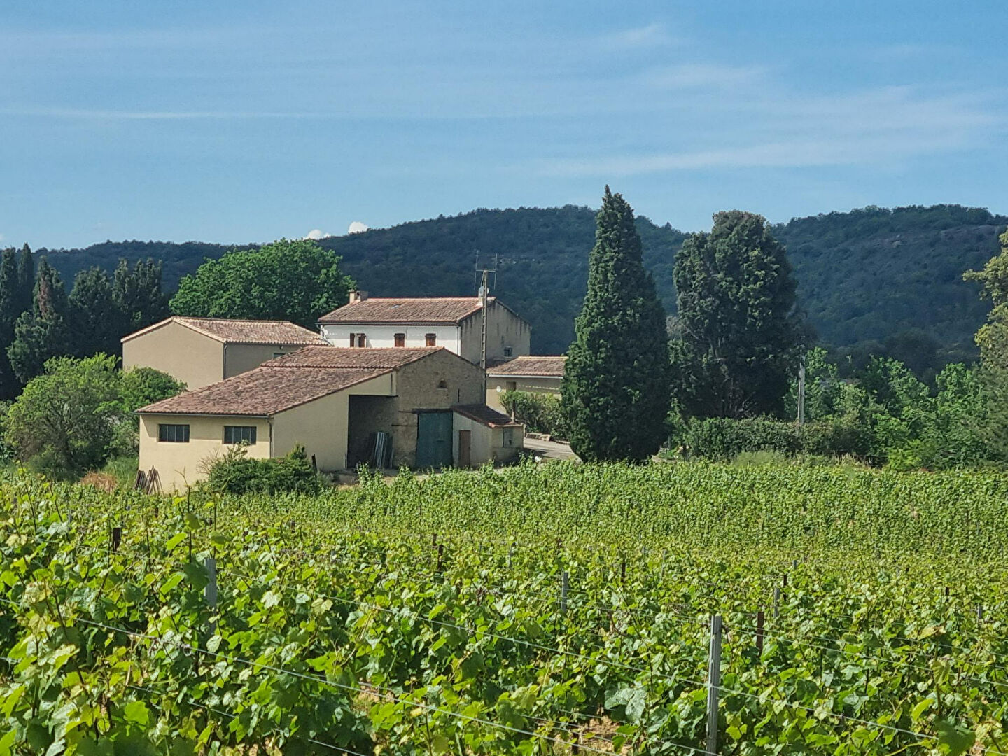 Domaine viticole d'exception au coeur de la région viticole