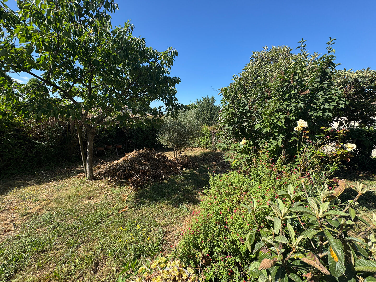 Photo Maison 4 chambres CEPIE image 2/6