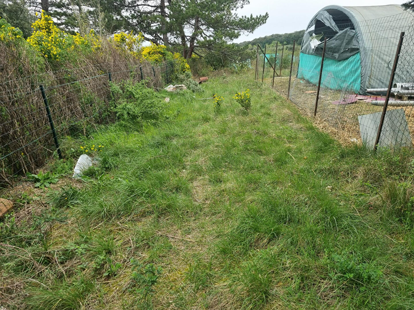 Photo Terrain Villebazy 1627 m2 image 2/6