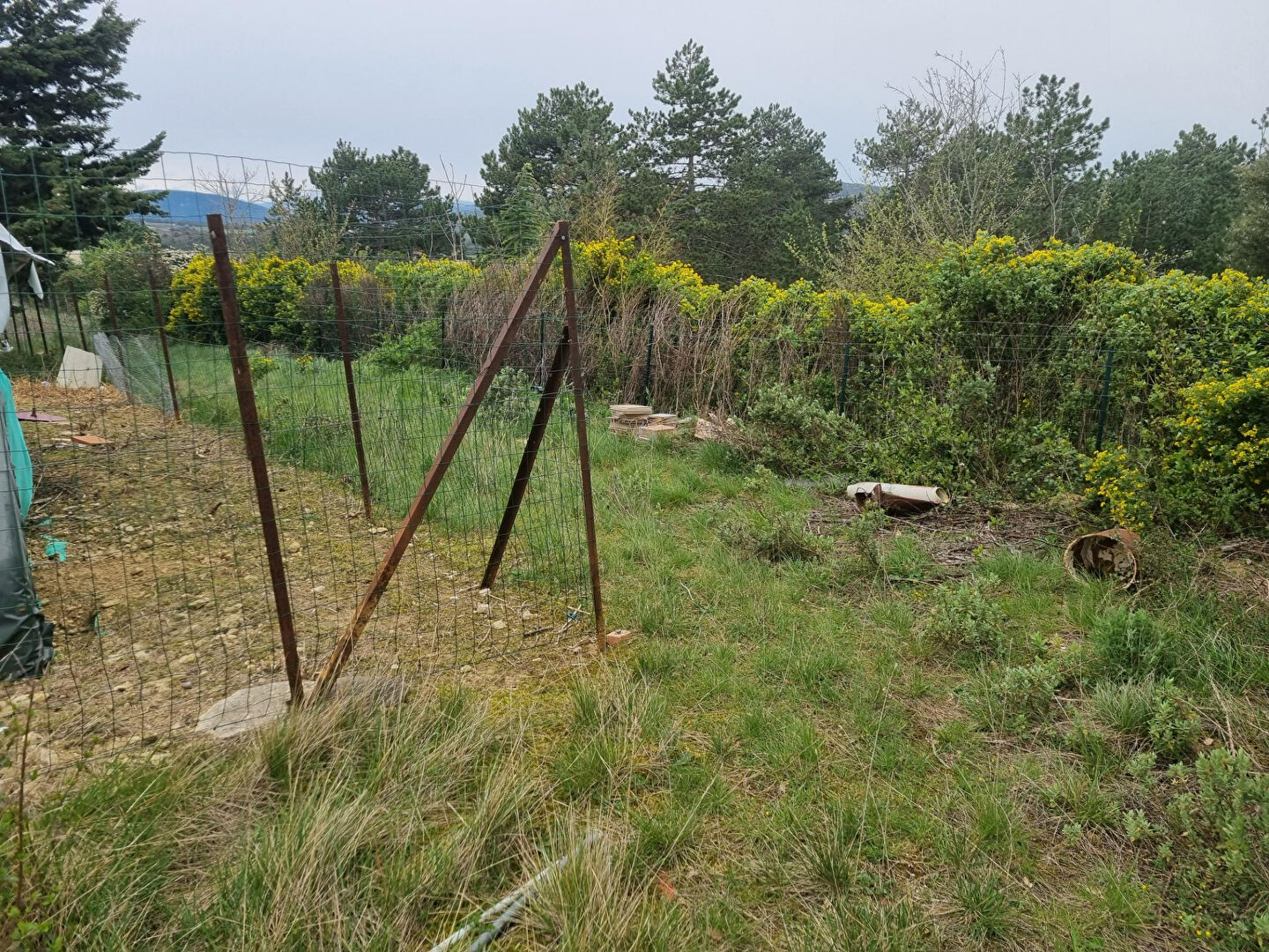 Photo Terrain Villebazy 1627 m2 image 3/6