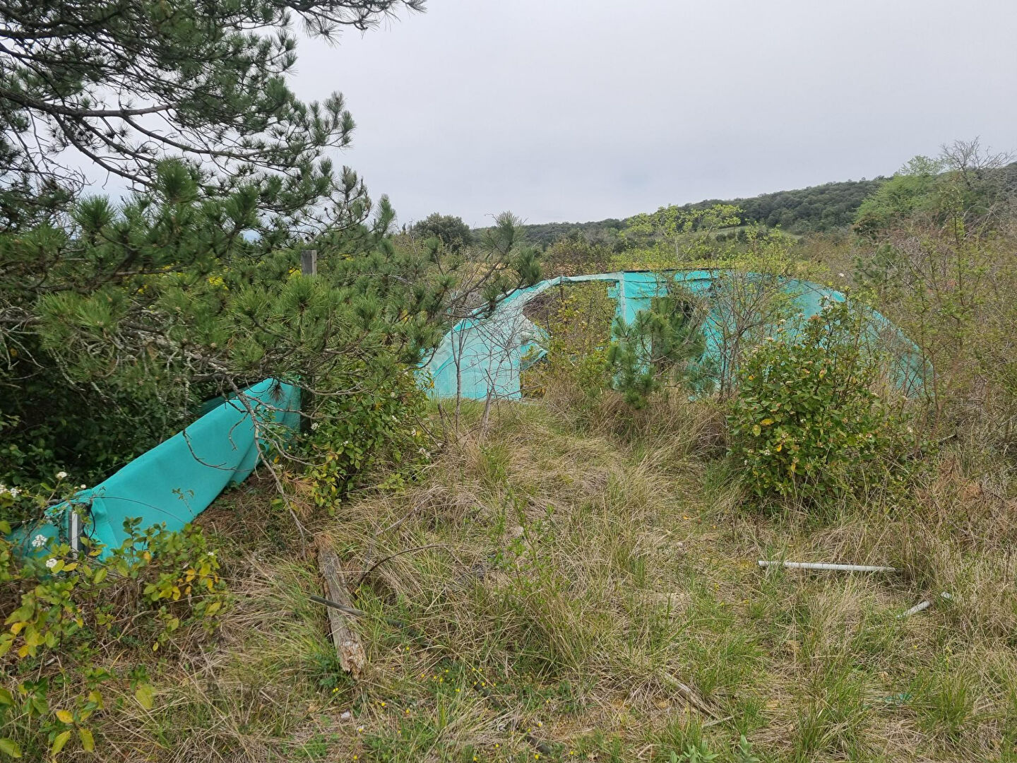 Photo Terrain Villebazy 1627 m2 image 4/6