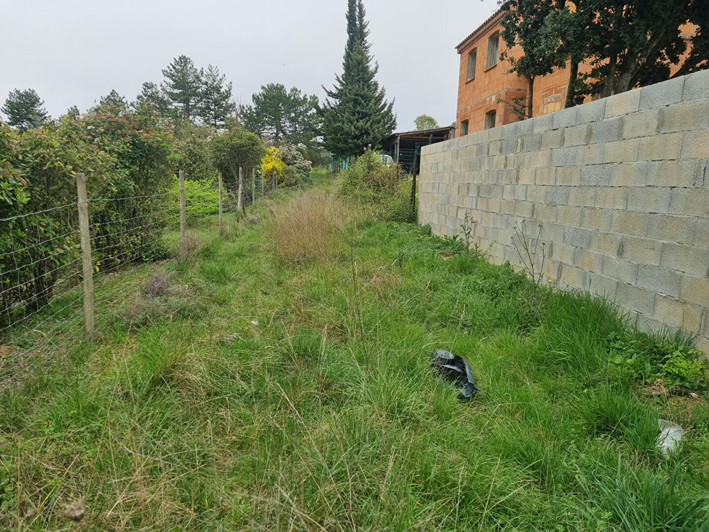 Photo Terrain Villebazy 1627 m2 image 6/6