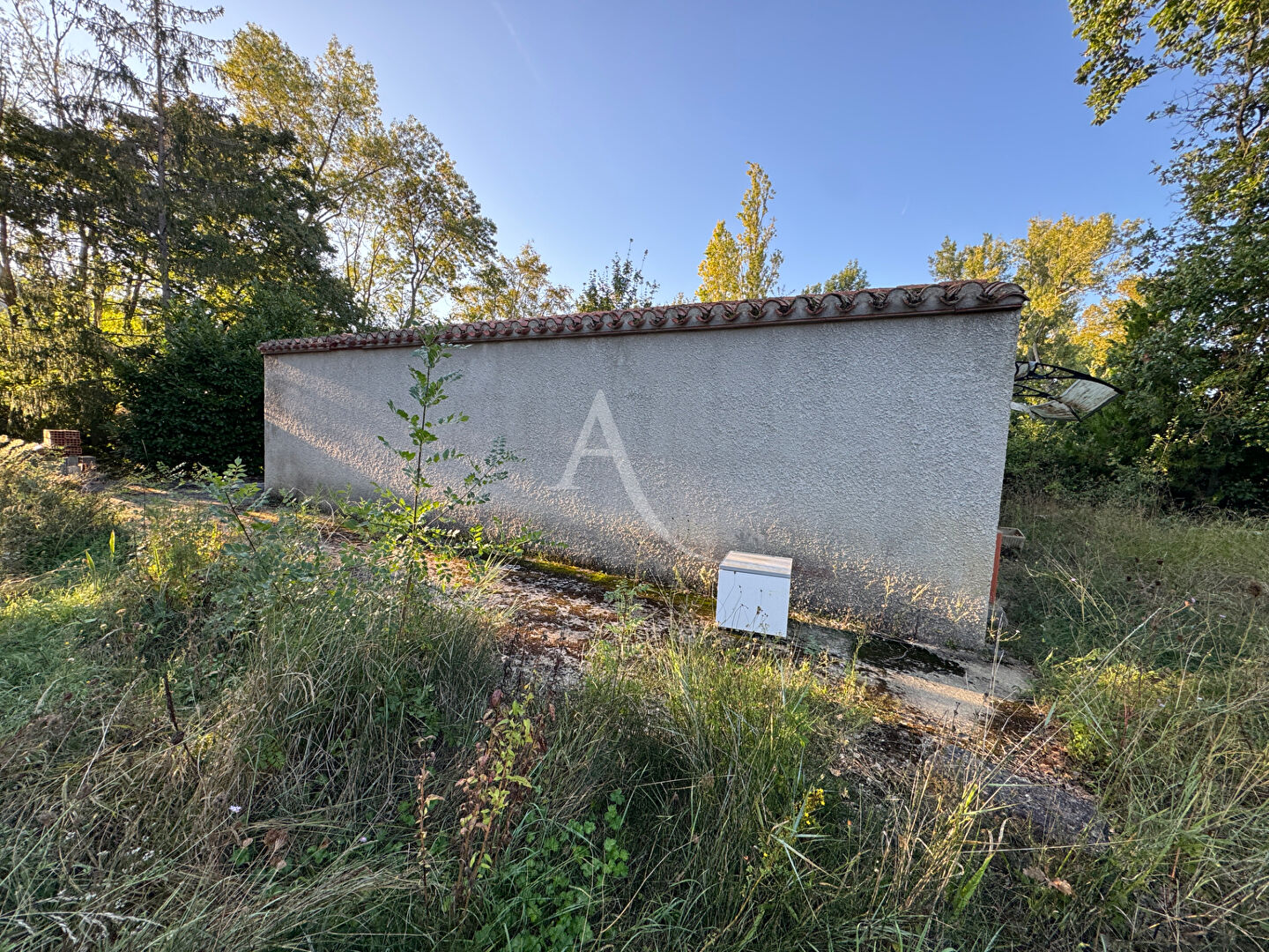 Terrain agricole avec hangar  1/2 hectare  entre Castelreng et La Digne