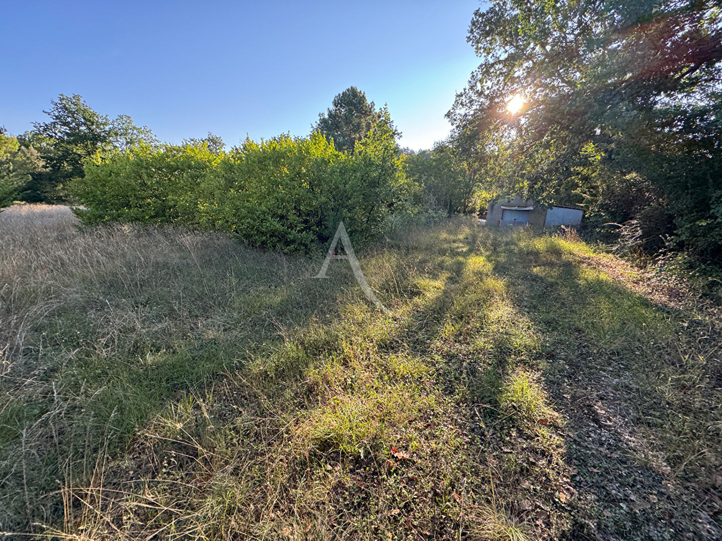 Photo Terrain agricole avec hangar  1/2 hectare  entre Castelreng et La Digne image 3/3