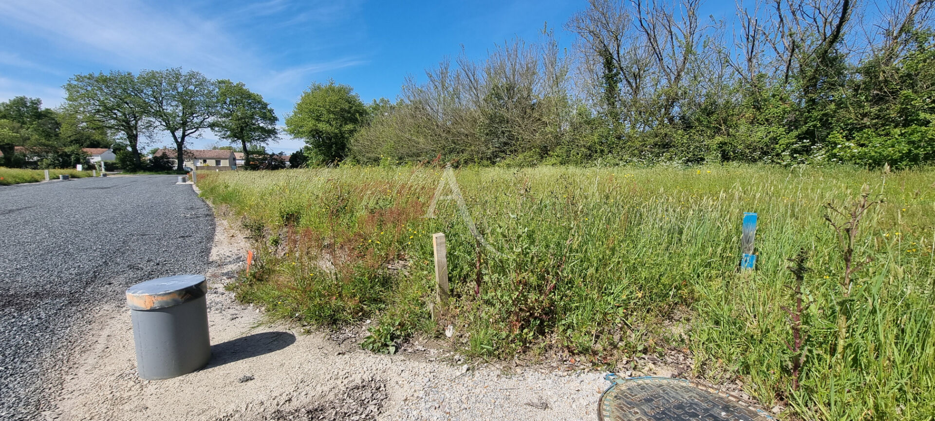 Photo Terrain à bâtir Commequiers 627 m2 image 4/6