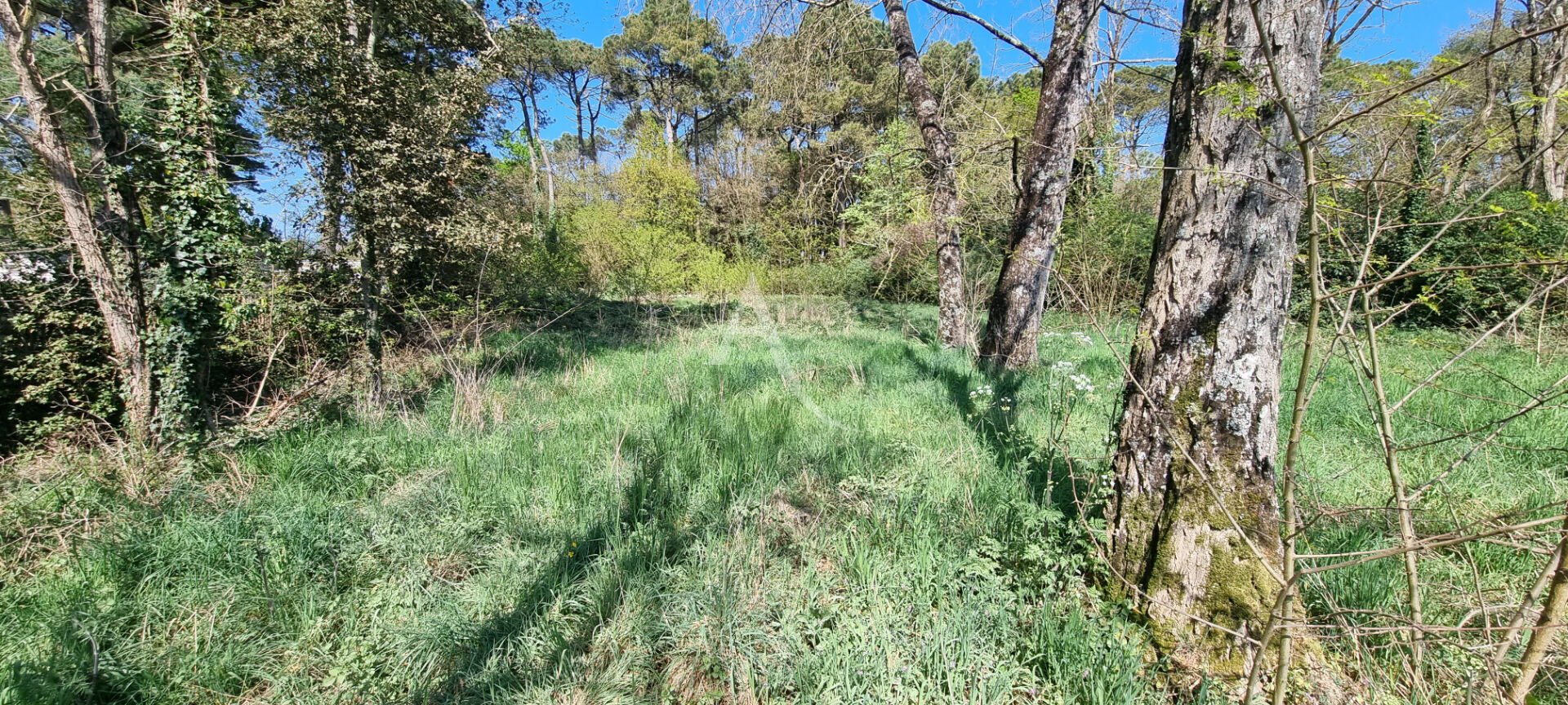 Beau terrain constructible  à Saint Hilaire De Riez 800 m2